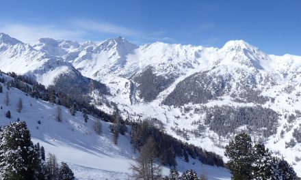 Holiday highlights 12/02