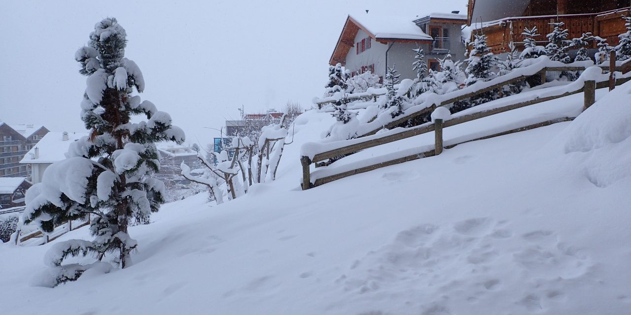 Fresh tracks Nendaz