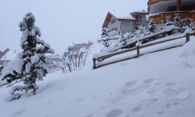 Fresh tracks Nendaz