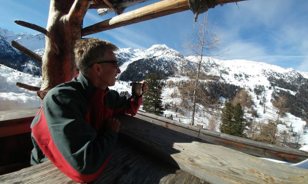 Snowshoe Bonanza