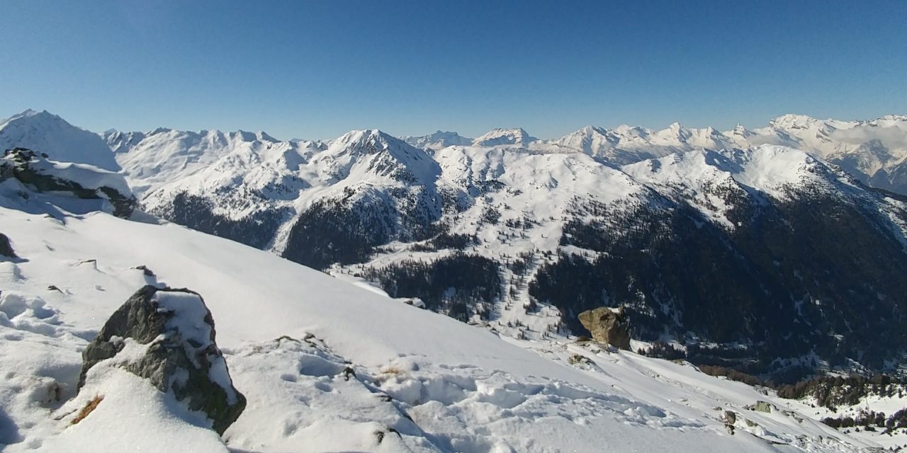 Ski touring Combatseline mark 2
