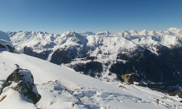 Ski touring Combatseline mark 2