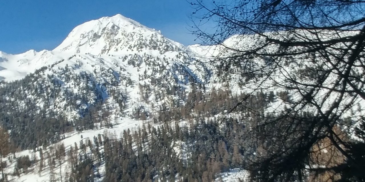 Ski tour to Combatseline