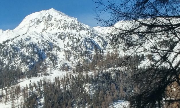Ski tour to Combatseline